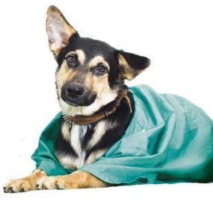 Surgical Drapes - Reusable and Disposable
