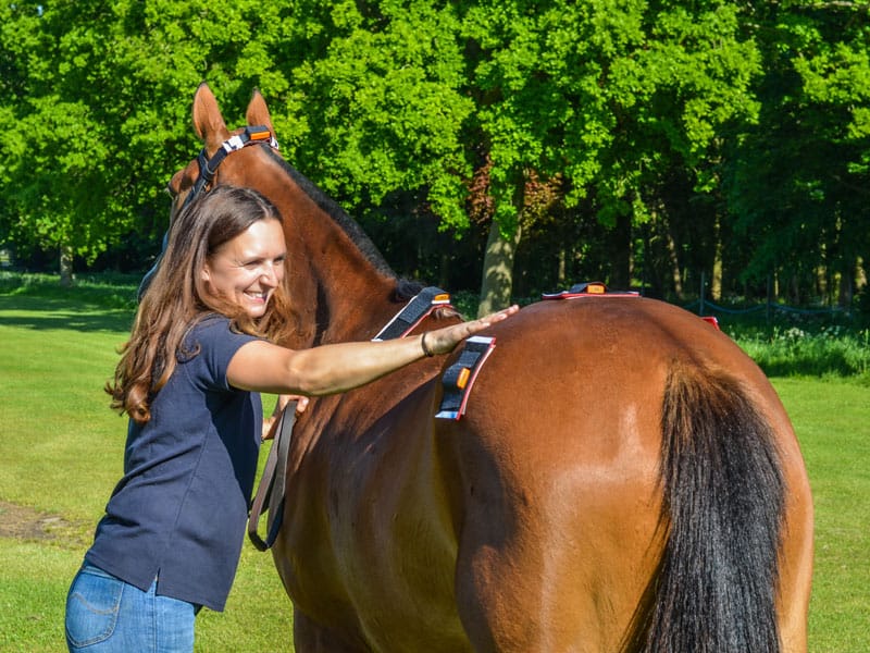 Equine Gait Analysis Technology