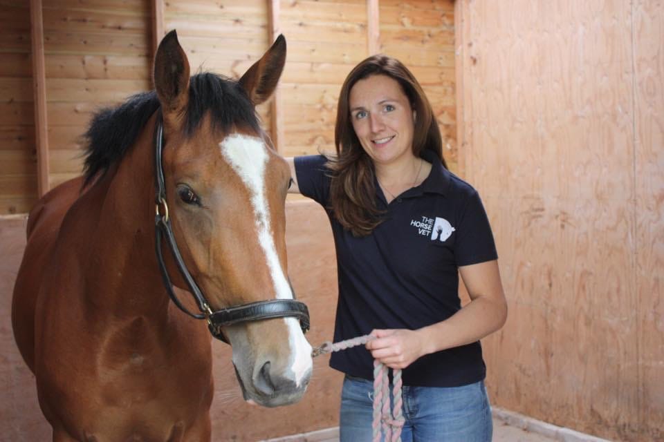 Treating Equine Wounds