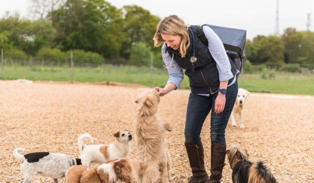 How temperature-controlled packaging innovation is helping the animal health sector deliver on vital vaccine compliance