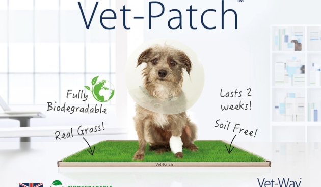 Pee-Patch: the natural green grass patch