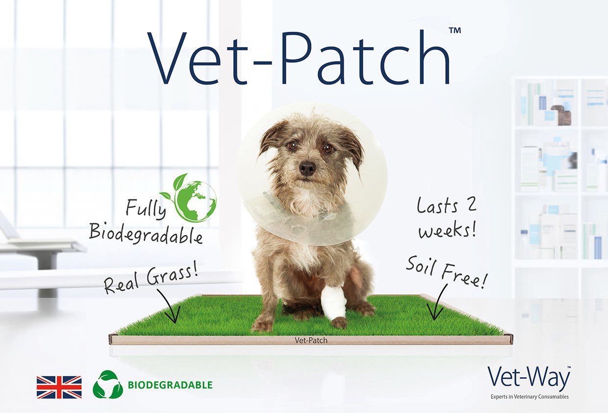 Vet Patch Sml Jpeg Pee-Patch: the natural green grass patch