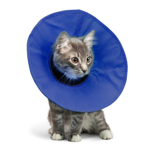 EZ Soft 900x900 04 e1637755411609 EZ Soft Collar