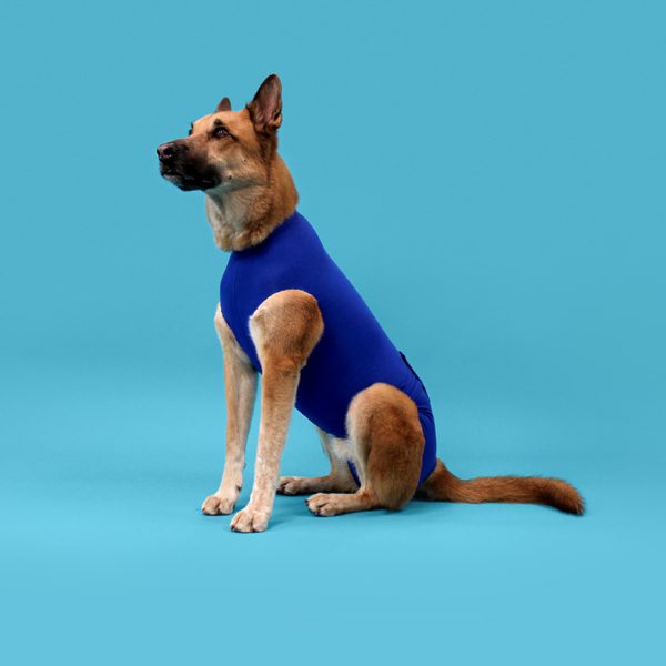 Recova Shirt 900x900 e1637769335275 Recova Shirt