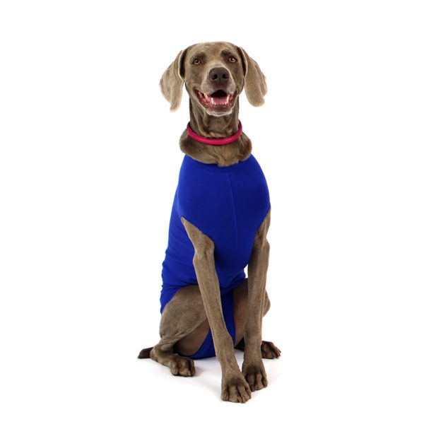 Recova Shirt 900x900 03 e1637769226719 Recova Shirt