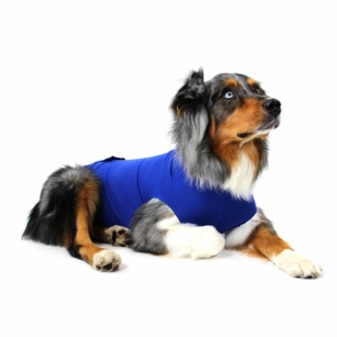 Recovery Shirts & Collars
