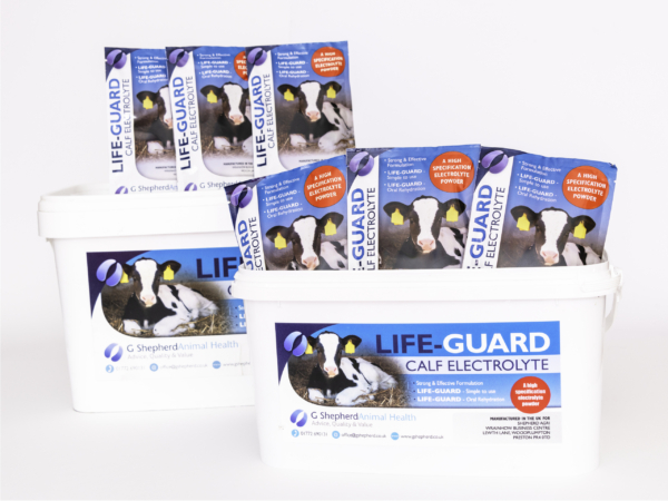 LifeGuard 2 Packs scaled Life Guard Calf Electrolyte