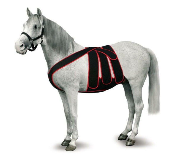 165211 Equine Pockets for Post Colic Surgery