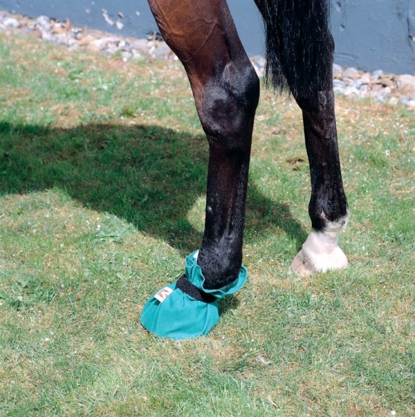 220117 Equine Poultice Boot